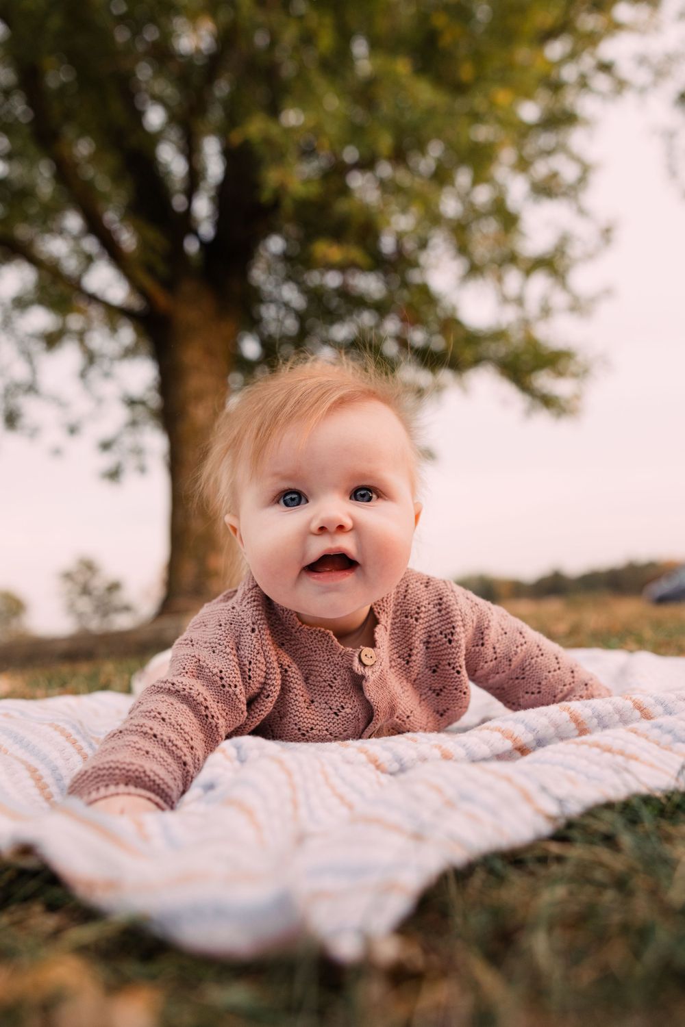 A cheerful baby in a pink knit outfit lies on a soft blanket on the grass with a large tree in the background.