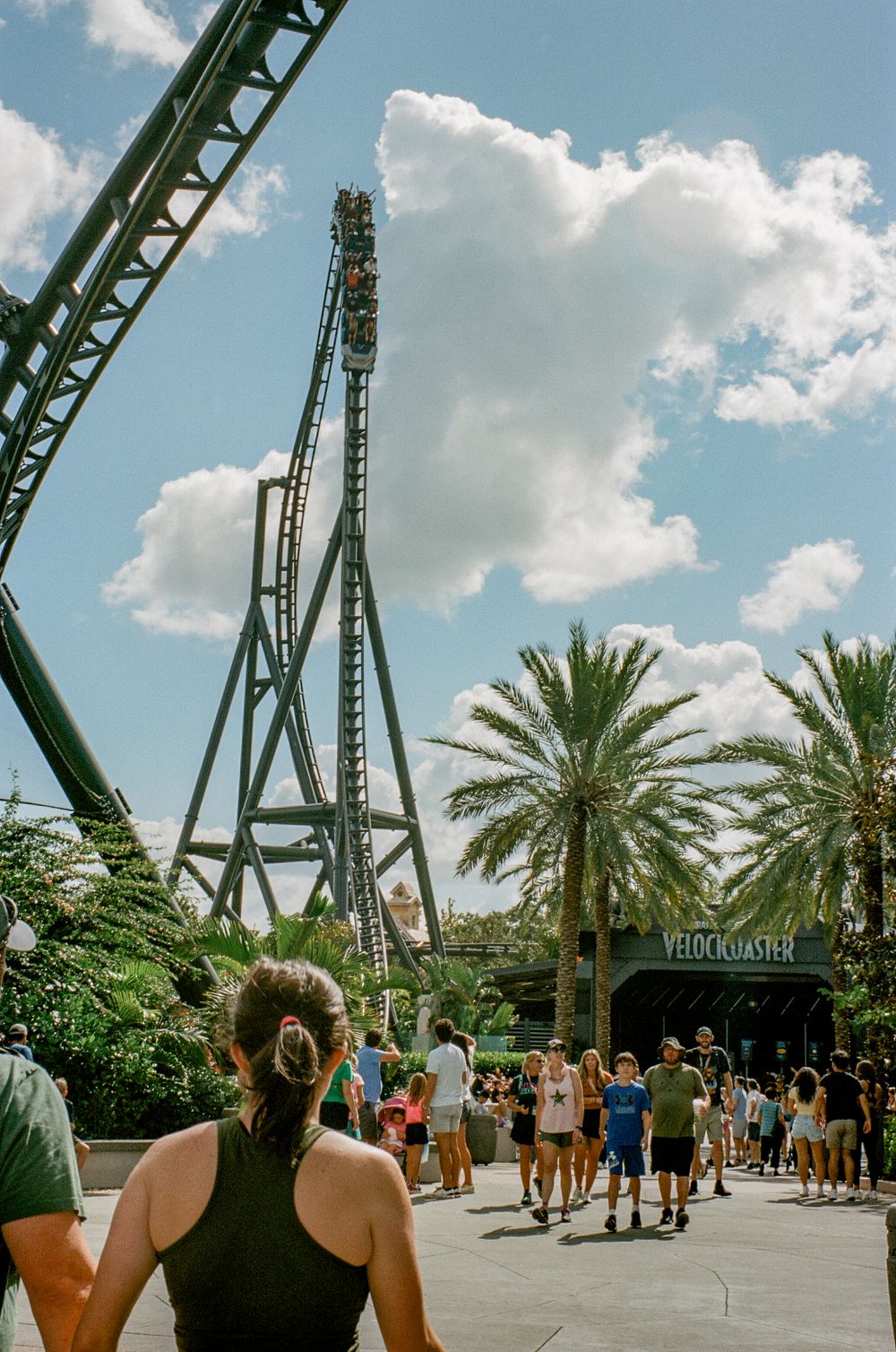 Tall green roller coaster tracks rise against a blue sky with palm trees and waiting crowds below.