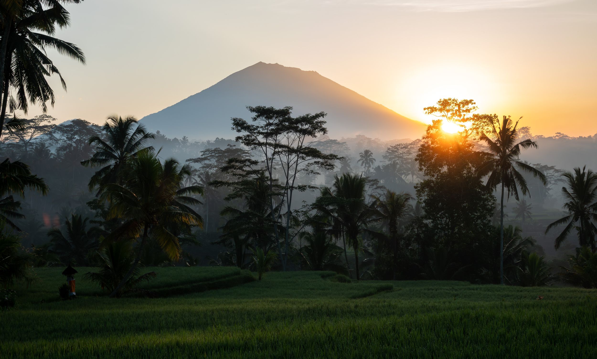 Volcanic mountain silhouetted against golden sunset with palm trees and rice fields in foreground.