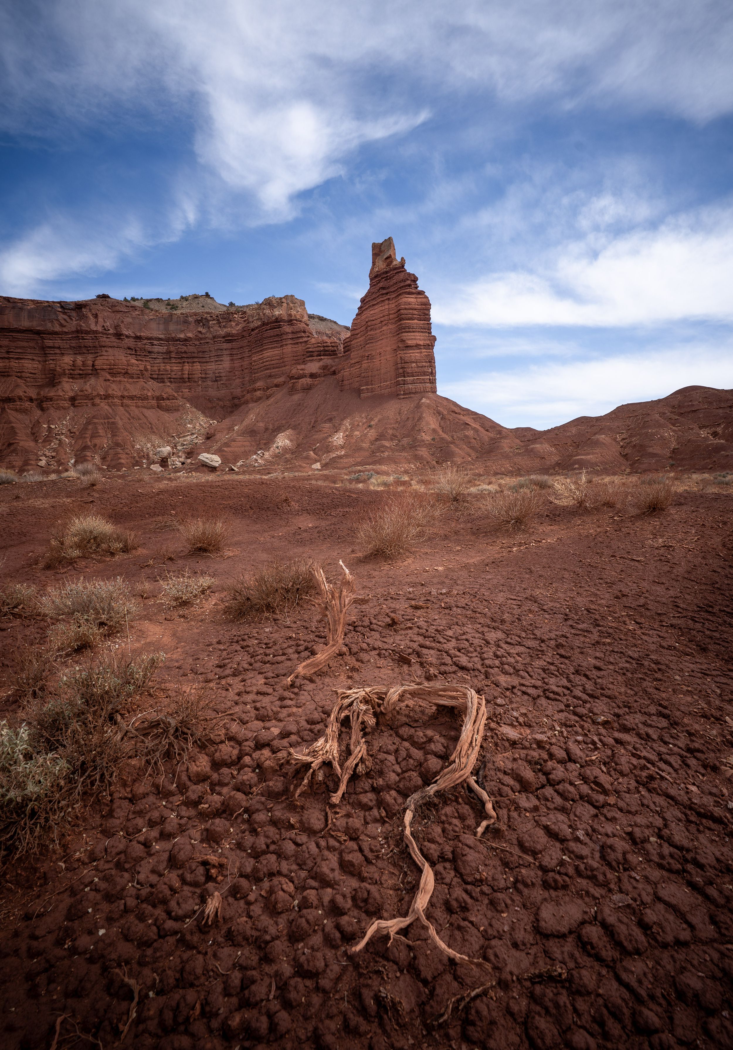 A dramatic red rock formation rises against a blue desert sky with twisted driftwood in the foreground at Capitol Reef.