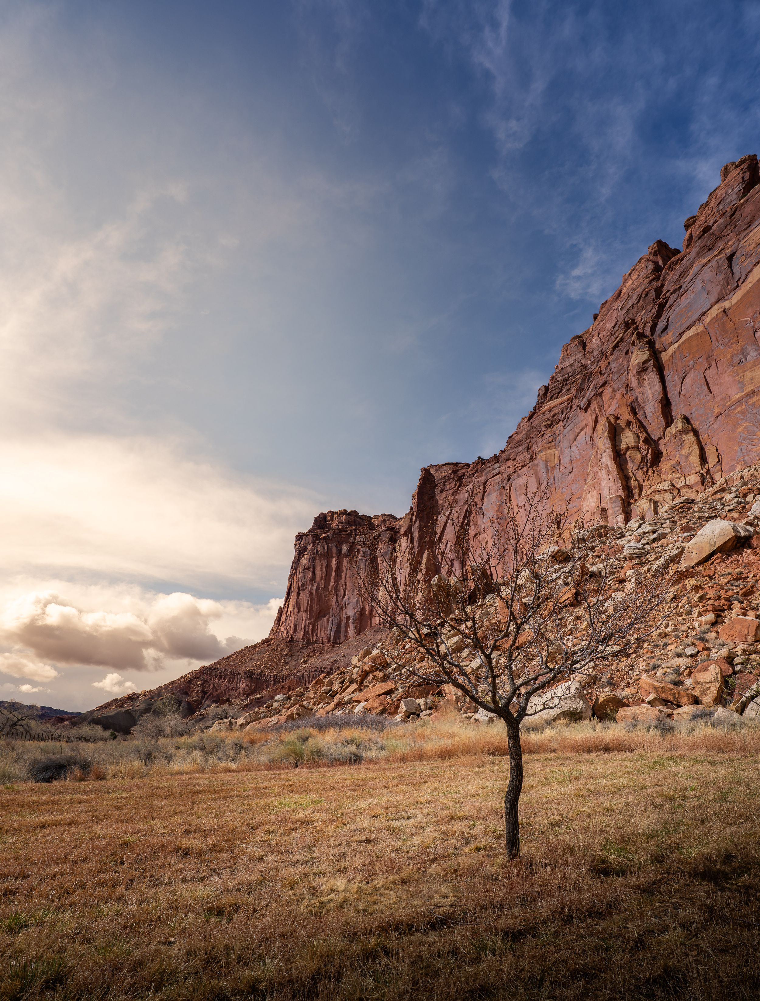 Red sandstone cliffs rise against a blue sky with desert vegetation in the foreground at sunset.