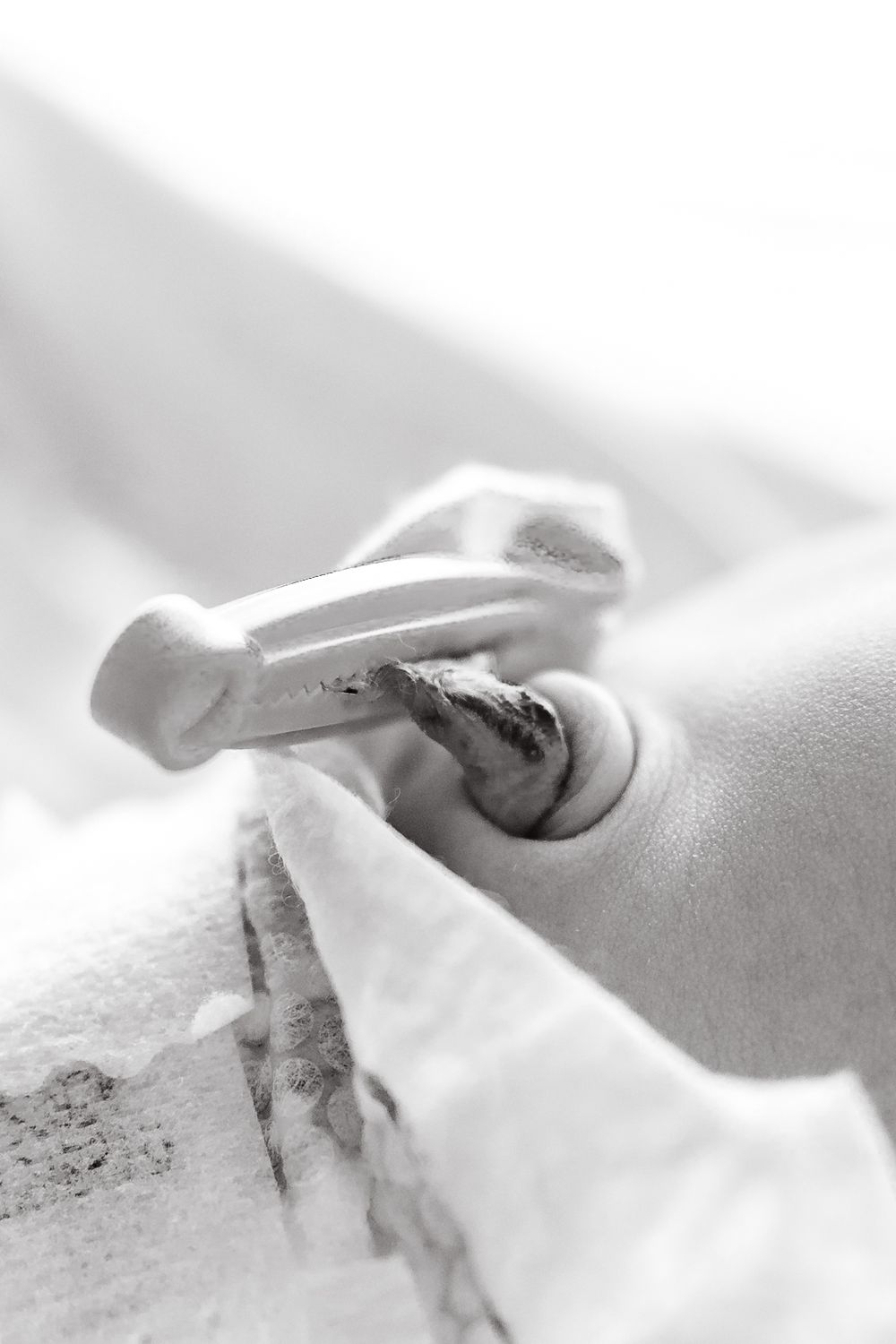 A series of black and white close-up photographs showing gentle hand movements against a soft, light background.