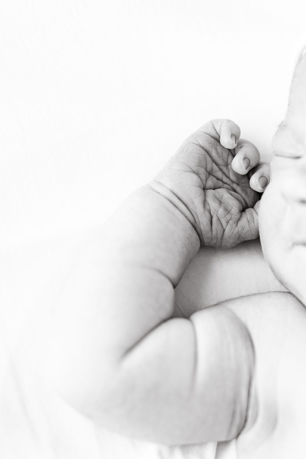A black and white close-up photo of a baby's tiny hand grasping an adult's finger in a tender moment.