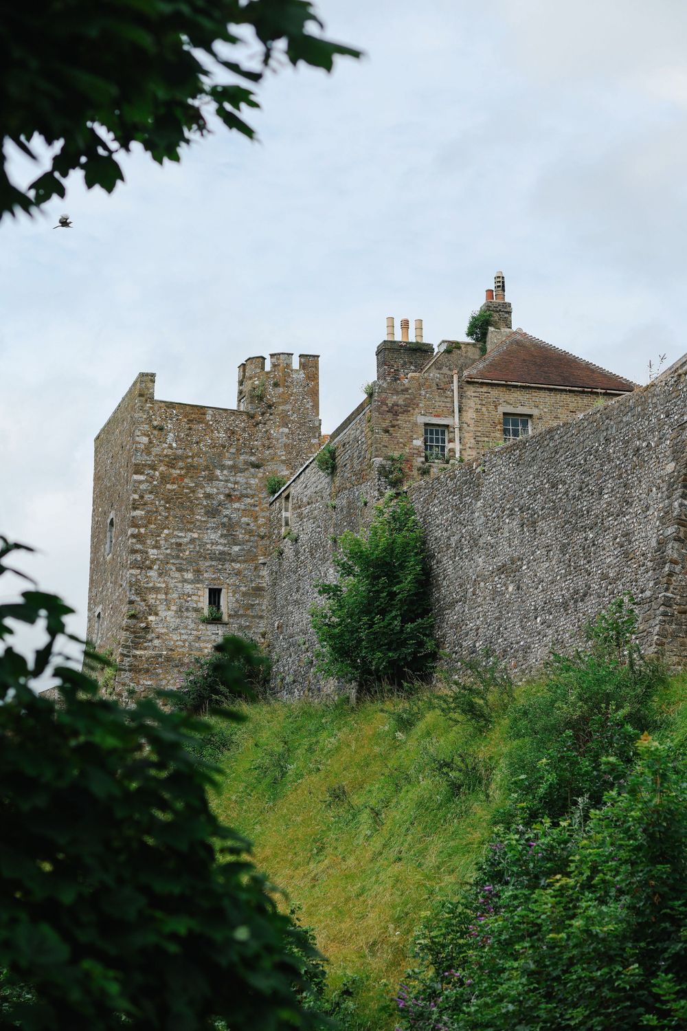 Ancient stone castle walls and battlements rising above a green hillside framed by leafy trees.