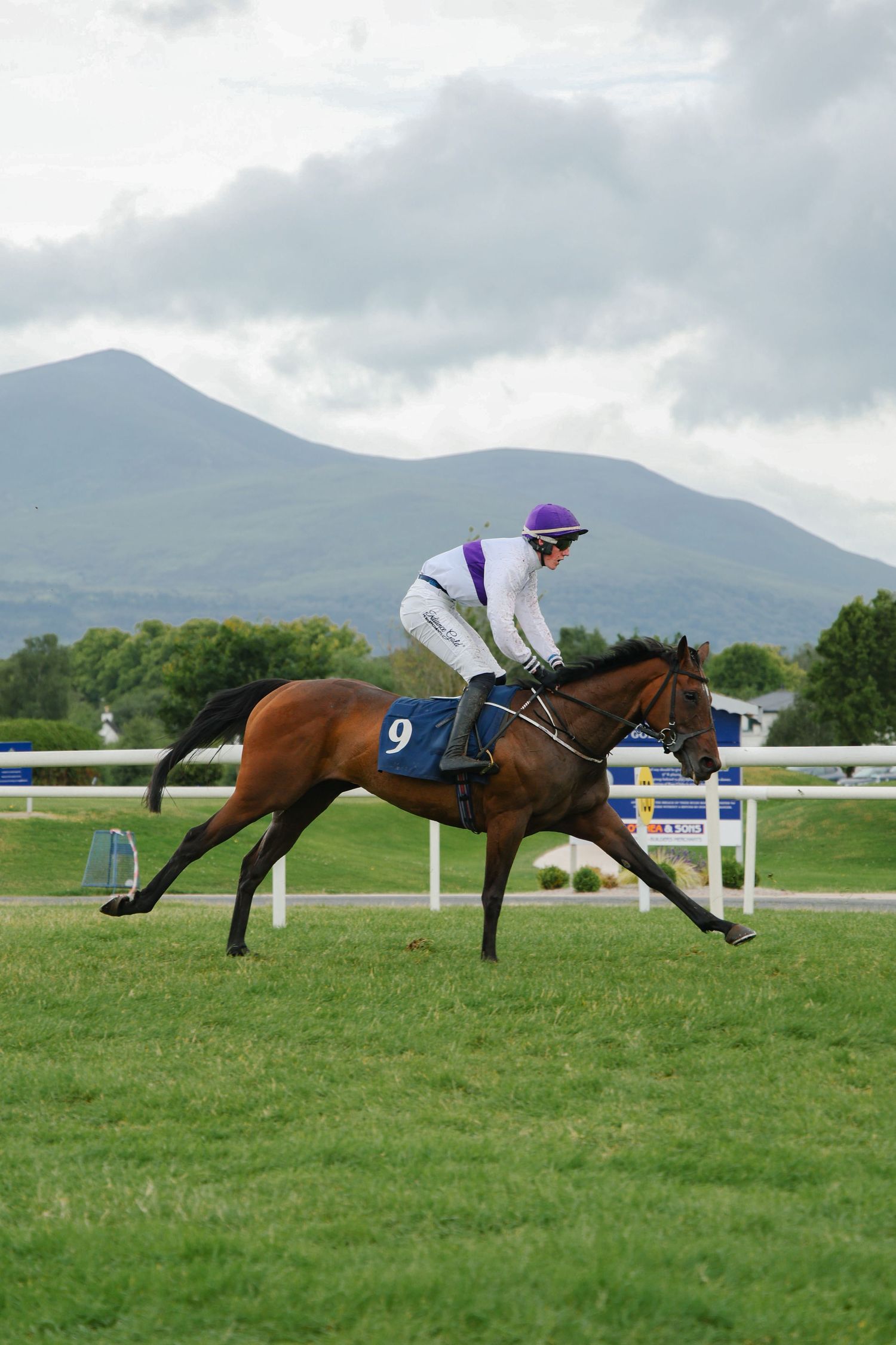 A jockey in purple and white silks rides horse number 9 at a racecourse with mountains in background.