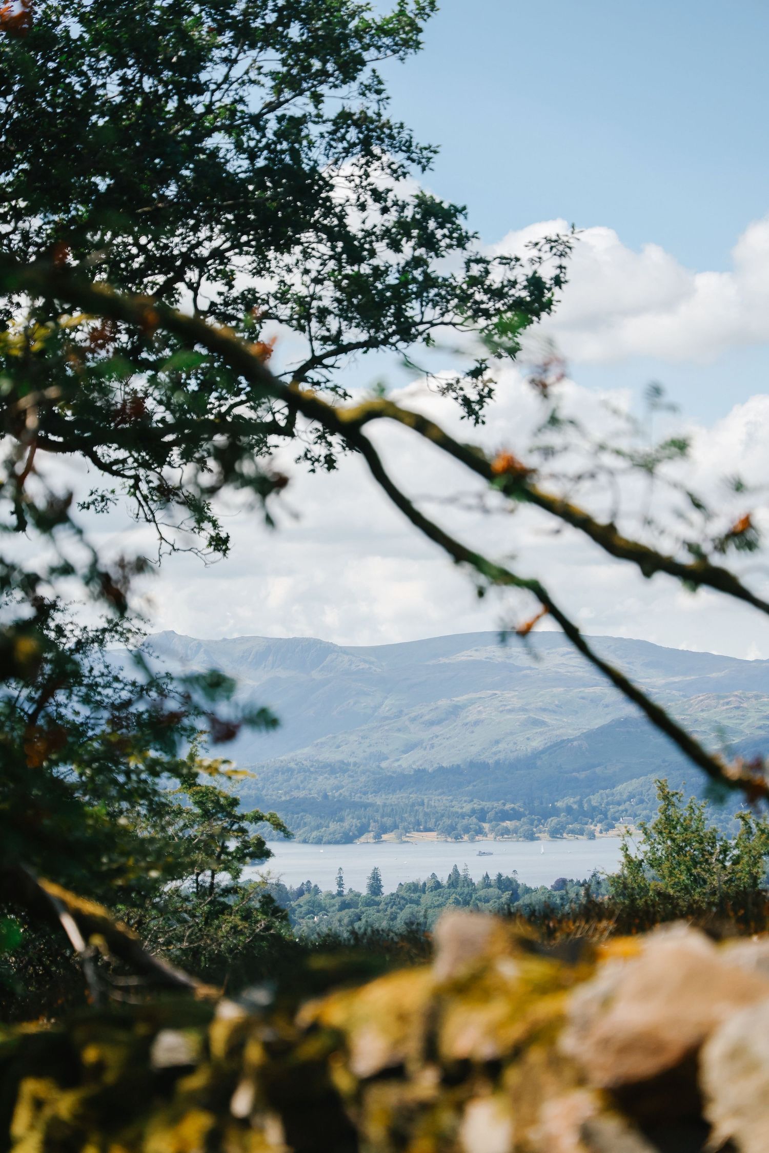 A scenic lake and mountain landscape framed by tree branches under a partly cloudy blue sky.