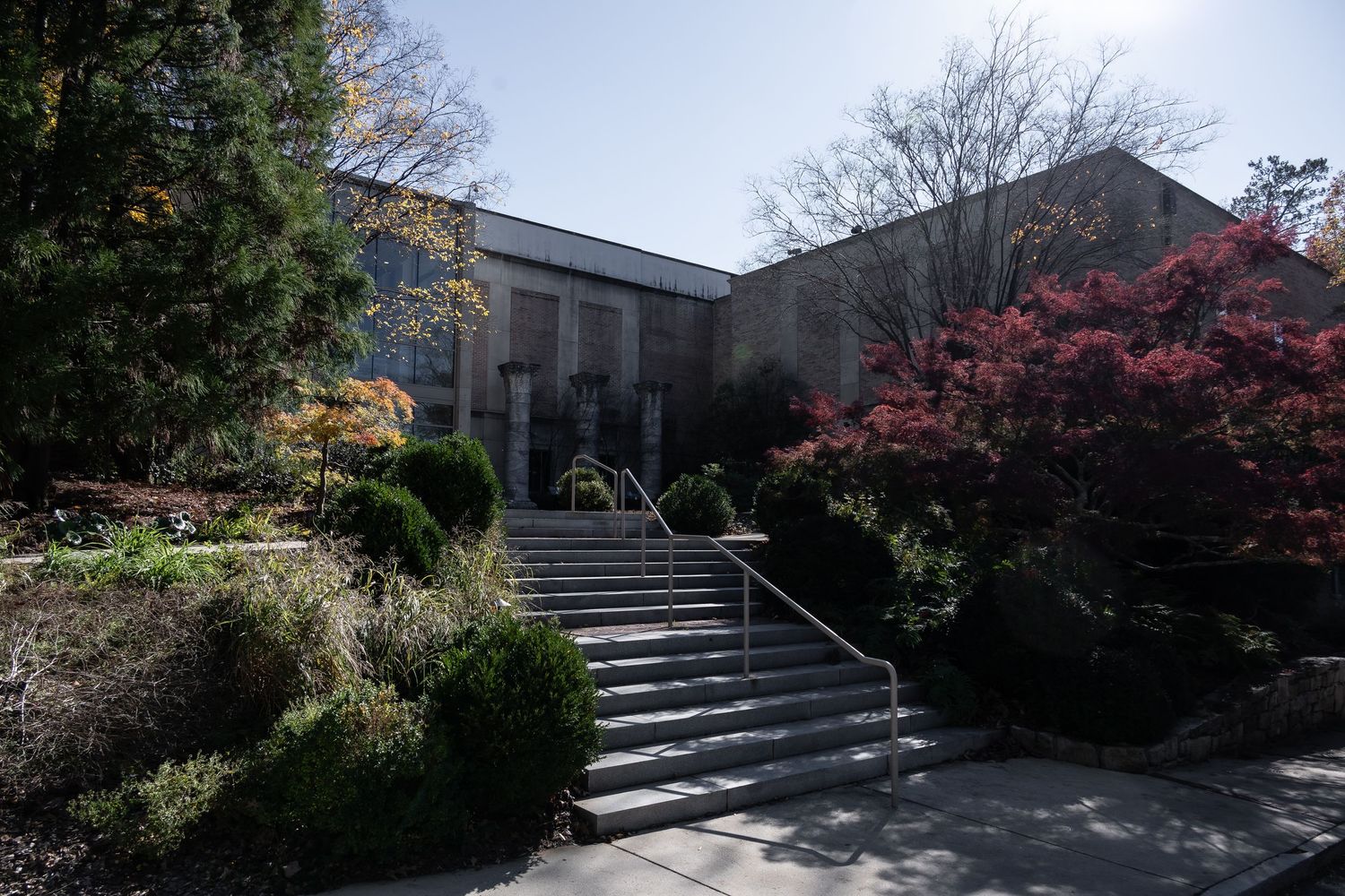 Modern building entrance with wide concrete steps flanked by landscaped gardens.
