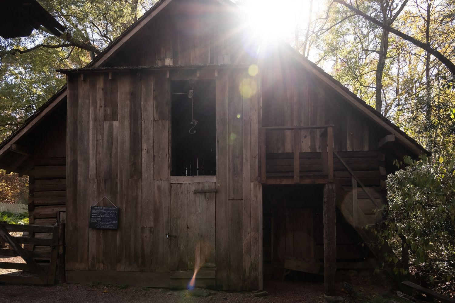 Rustic wooden cabin with sunlight streaming through trees behind it.