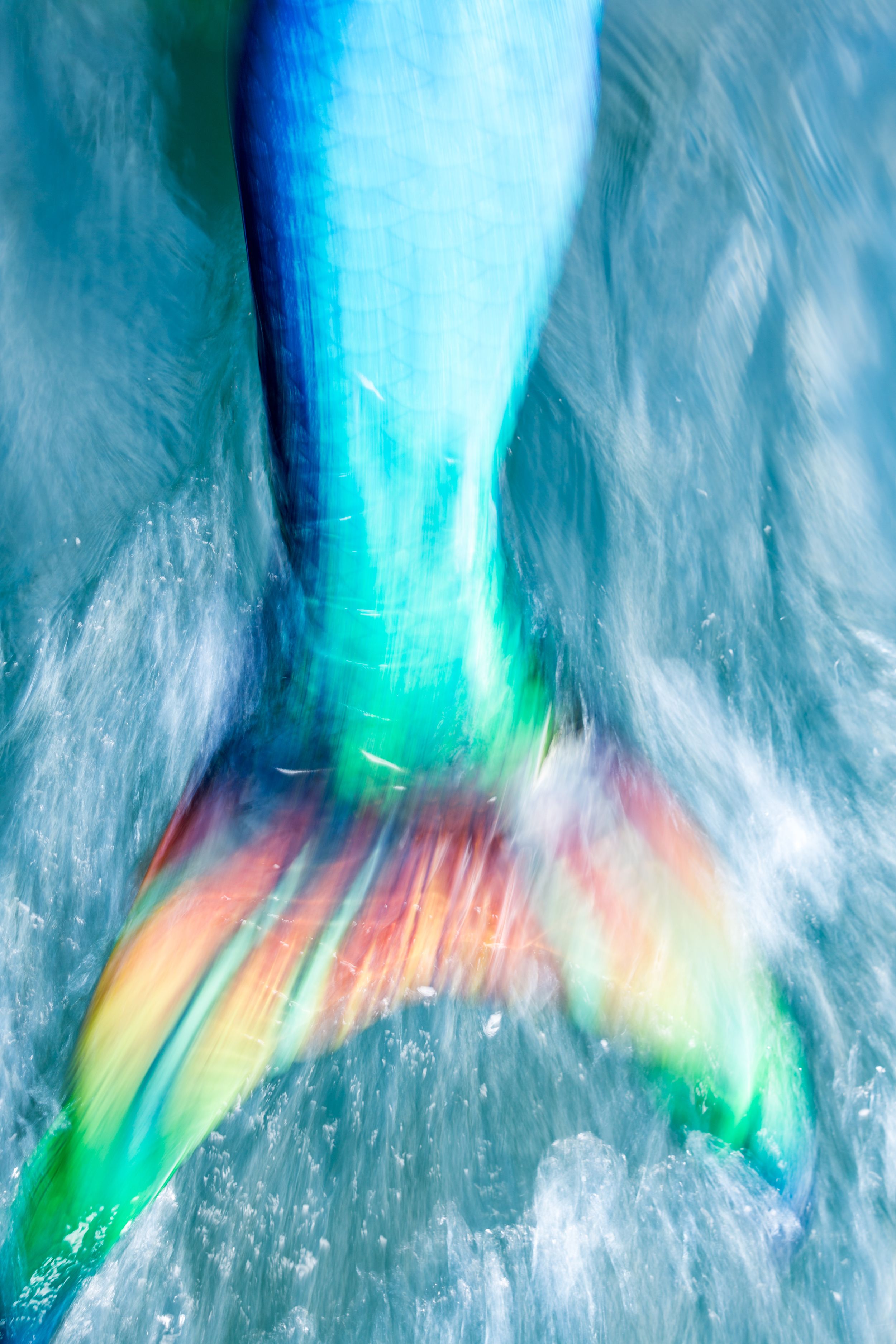 Mermaid's tail