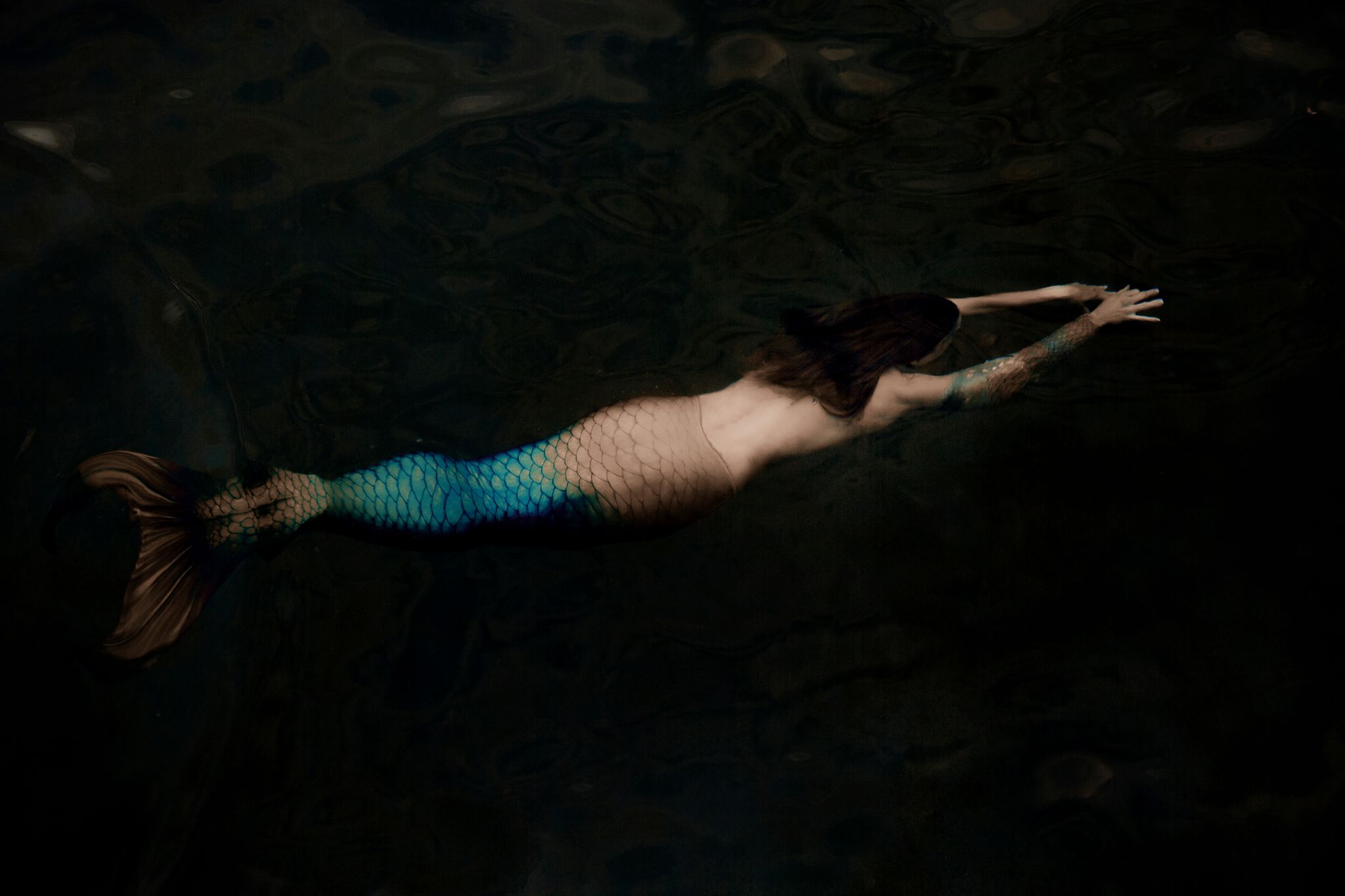 Mermaid swimming