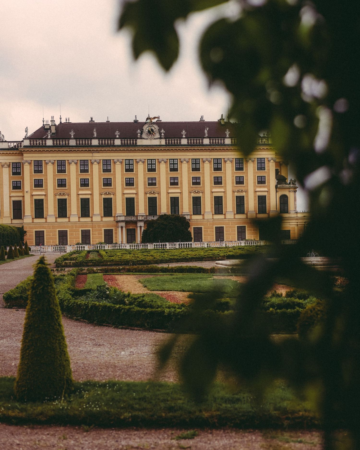 Schönbrunn View