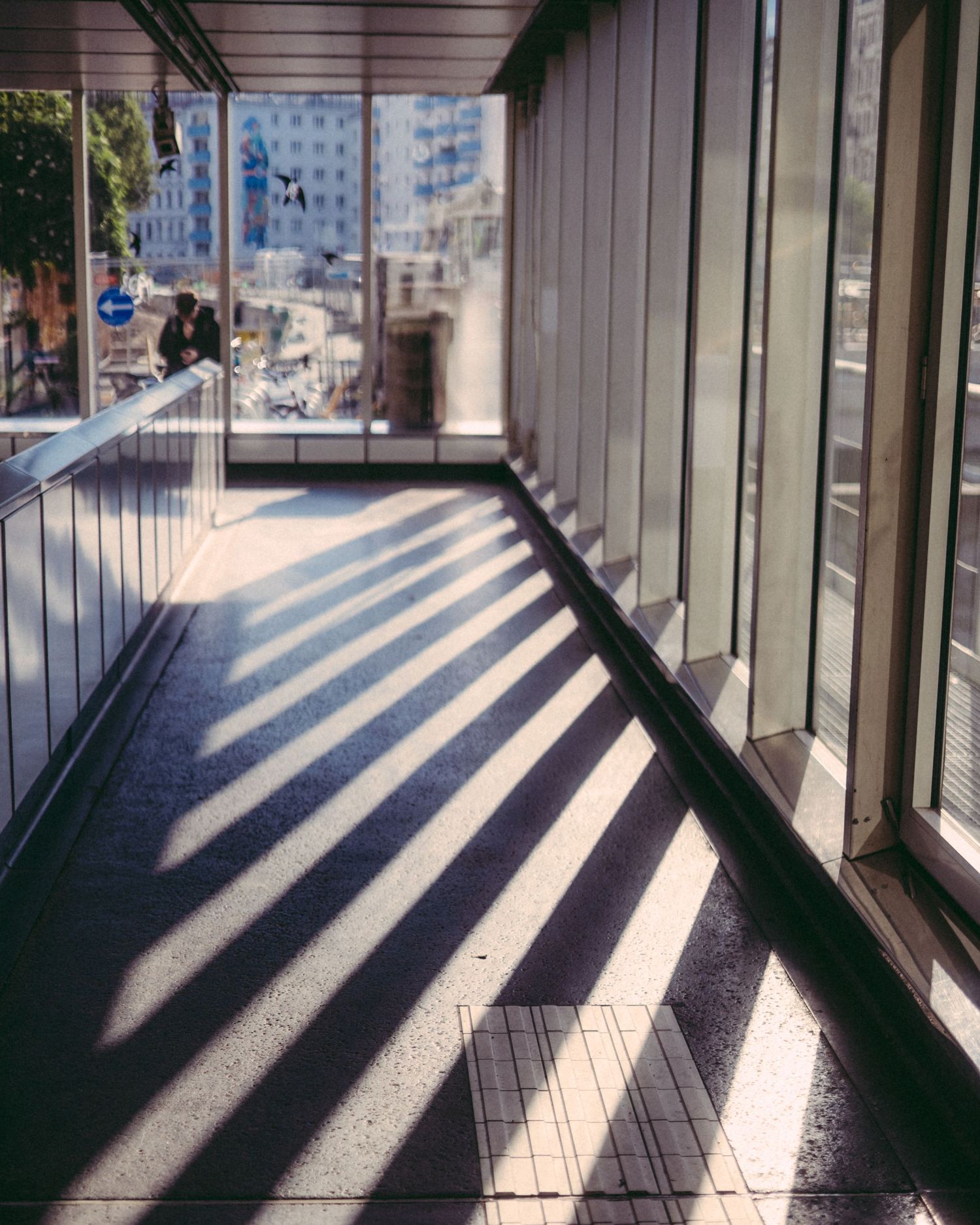 Shadow Lines