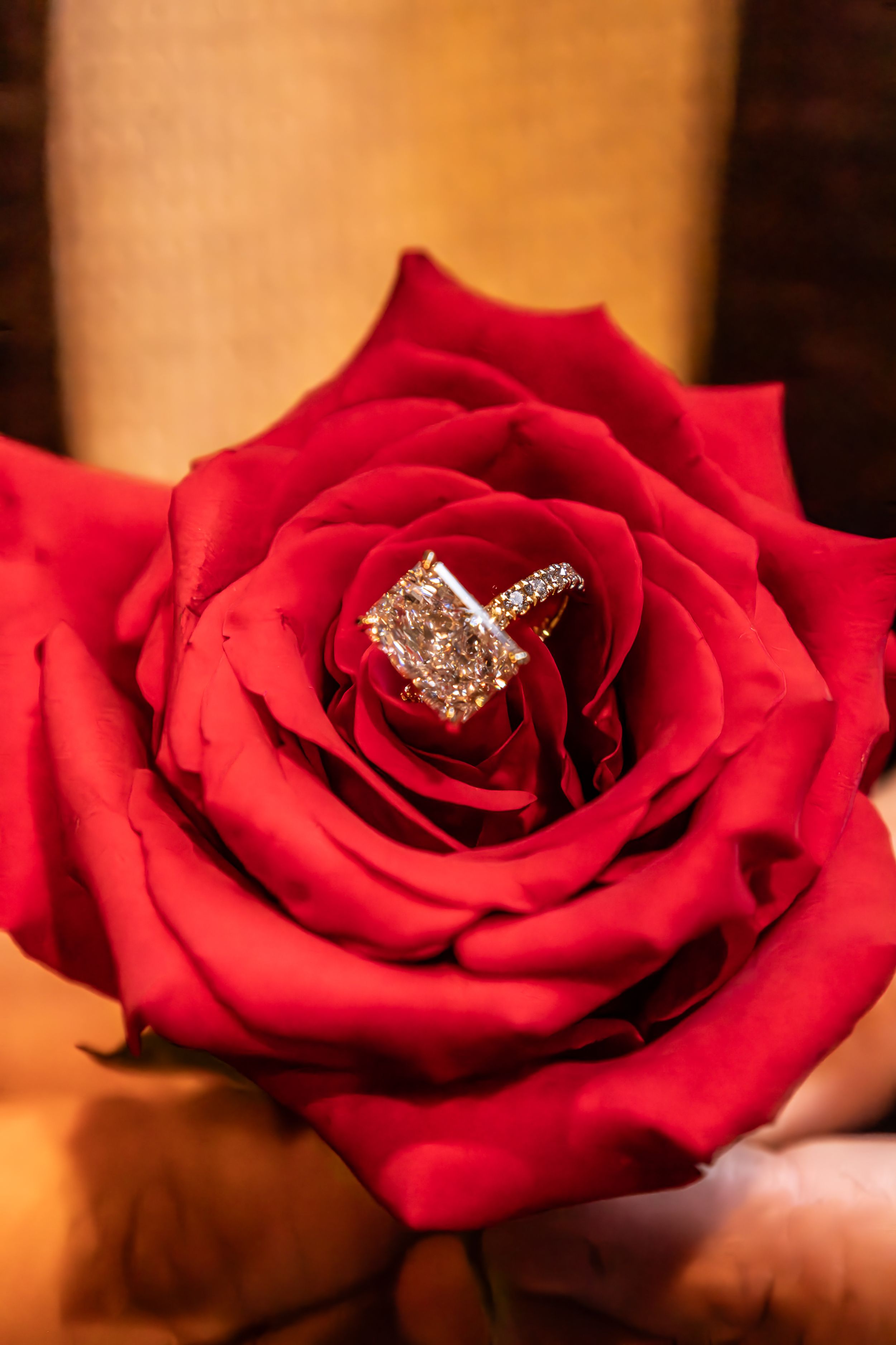 A sparkling diamond engagement ring nestled in the center of a vibrant red rose.
