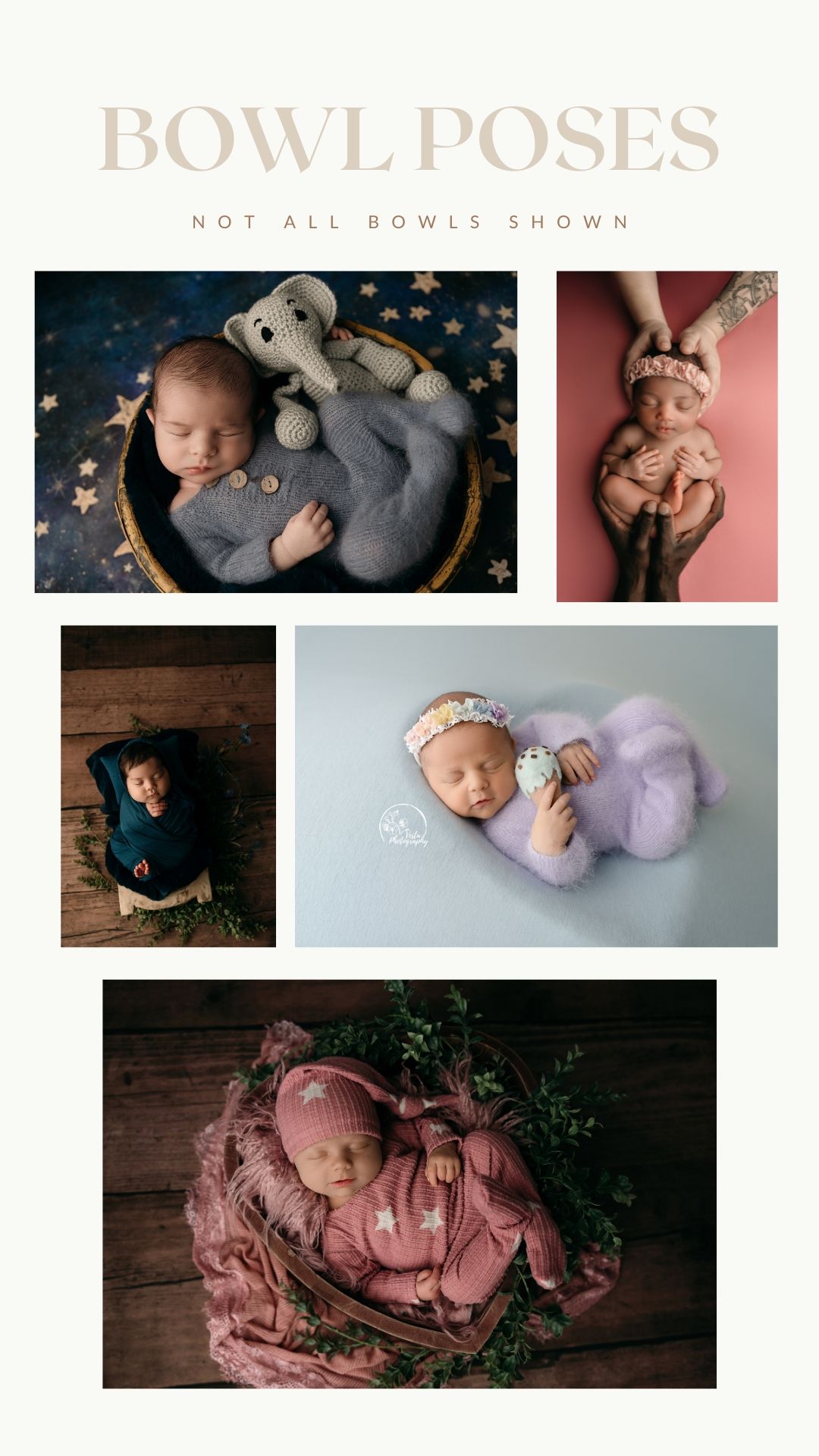 Collection of newborn photography poses featuring babies in bowls and containers with soft fabrics and decorative elements.