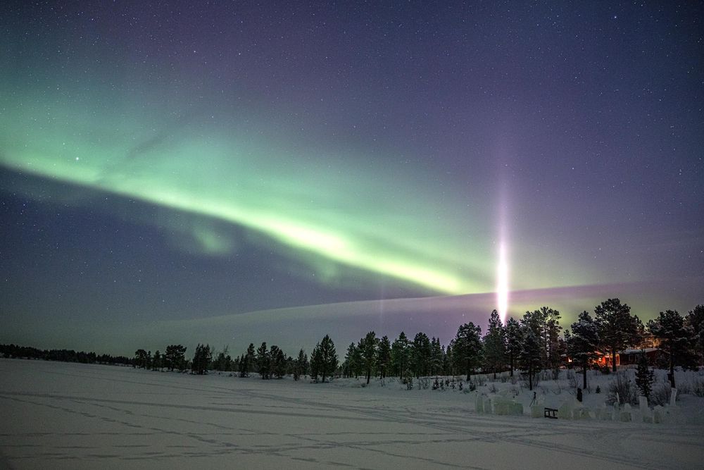 Stunning aurora borealis lights dance across a snowy winter landscape with silhouetted trees and red cabin lights in Finland.