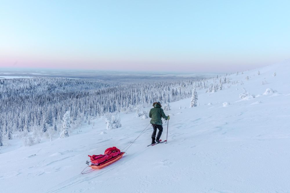Winter skier pulling red sled across snowy mountain landscape at dusk with snow-covered forest in background.