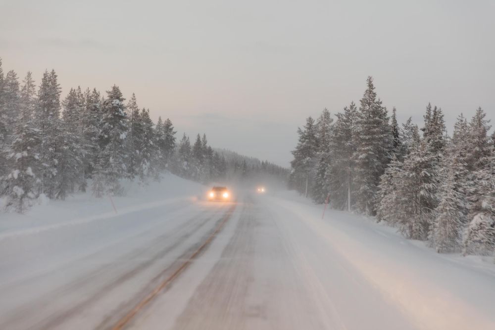 Car headlights glow through heavy snowfall on a winter road lined with snow-covered evergreen trees at dusk.