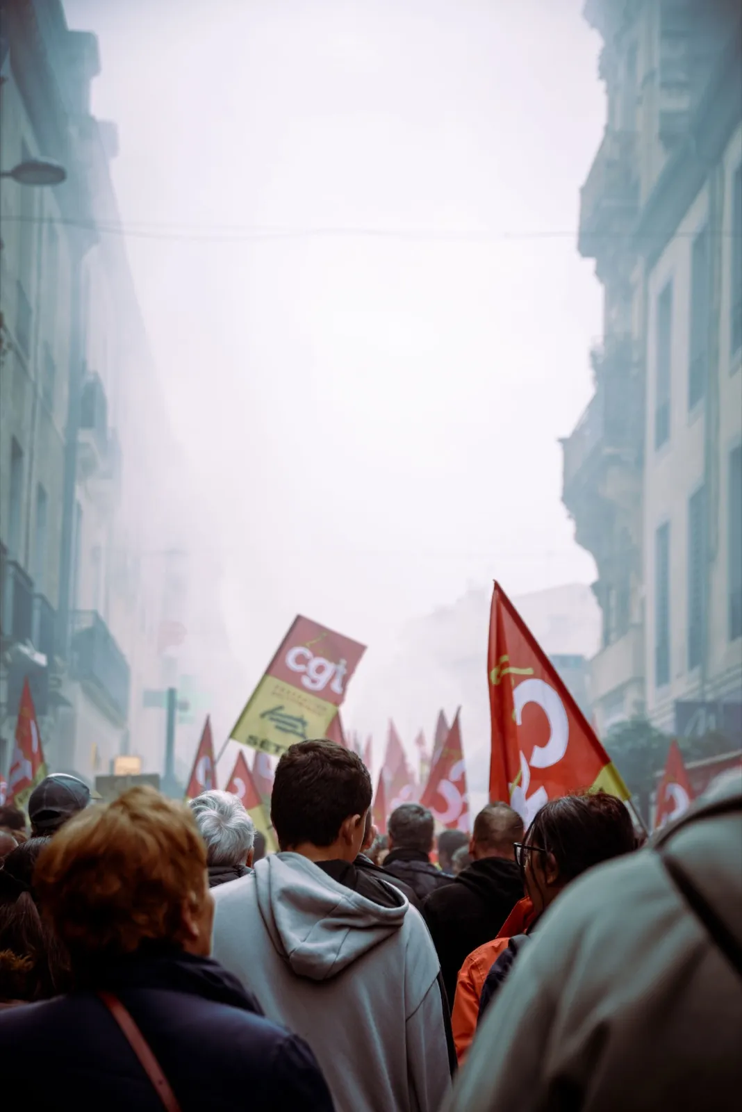 Personnes dans une manifestation portant des drapeaux.