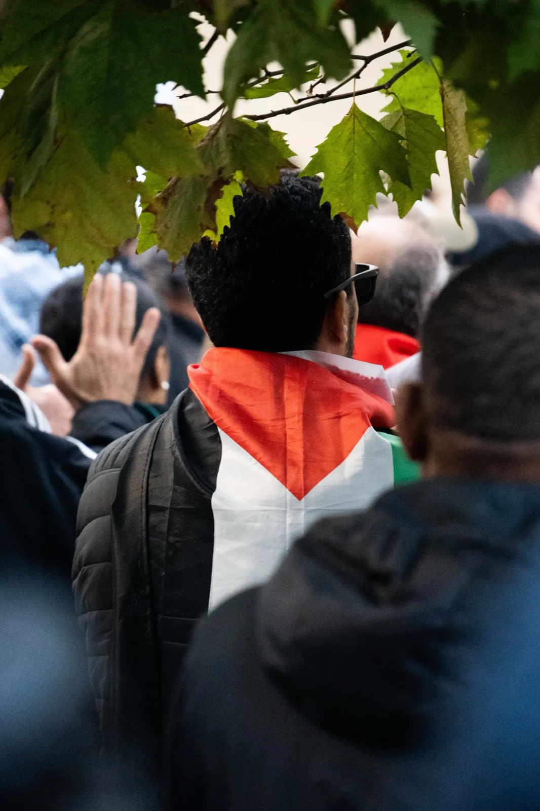 Vue arrière d’un manifestant portant un drapeau palestinien sur les épaules, au milieu d’une foule sous un feuillage.