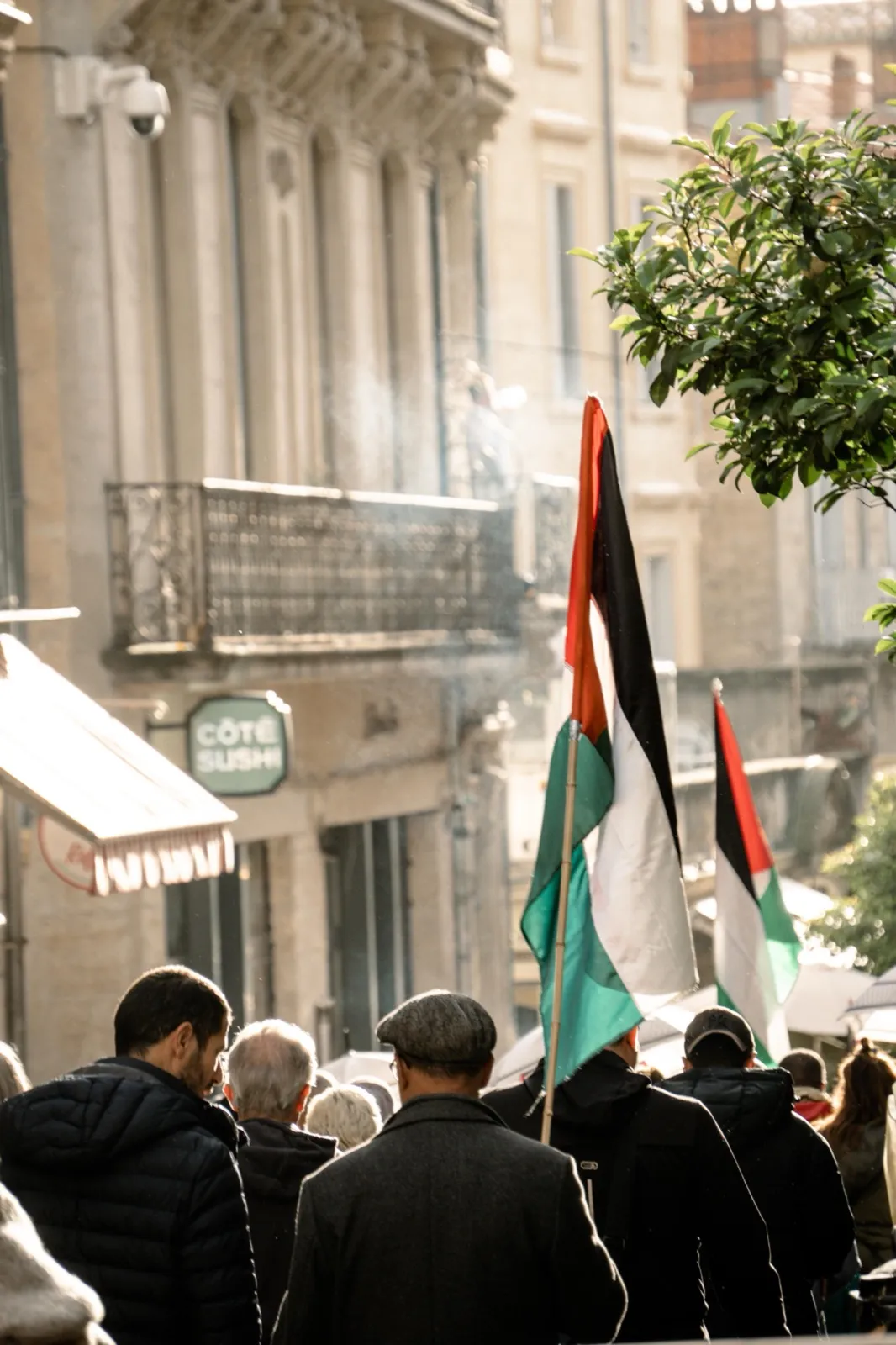 Personnes dans une manifestation portant des drapeaux.