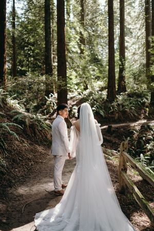 A wedding couple walks along a forest path surrounded by tall trees and ferns in a natural outdoor setting.