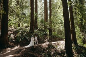 Two people share an intimate moment on a sunlit forest trail surrounded by towering redwoods and lush greenery.