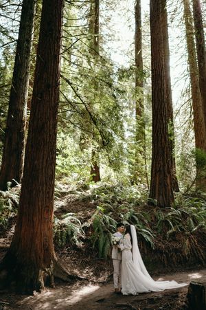 A couple stands together in a serene redwood forest with towering trees and dappled sunlight filtering through the canopy.