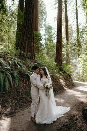 A wedding couple poses on a forest trail surrounded by towering redwood trees and lush ferns.