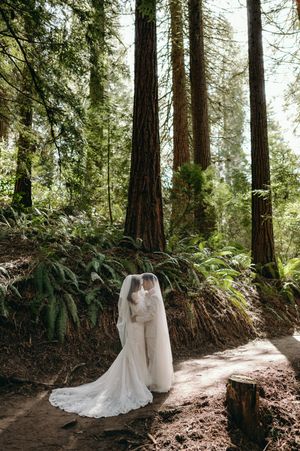 A wedding photo taken in a majestic redwood forest with towering trees and ferns creating a magical woodland backdrop.