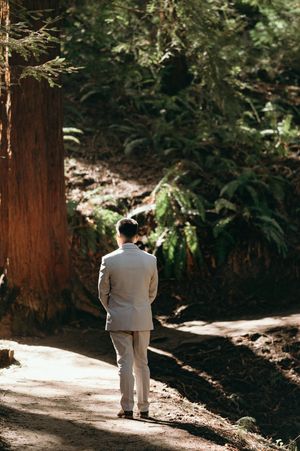 A groom in light colored suit stands alone on forest path surrounded by towering redwood trees.