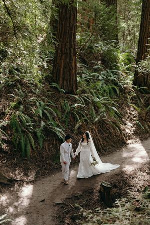 Newlyweds walking hand in hand on a forest path surrounded by towering redwood trees.