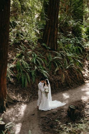 A romantic wedding photo captured on a forest path with towering trees and ferns creating a natural backdrop.