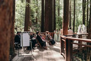 People attend an outdoor workshop or meeting on a wooden deck surrounded by tall redwood trees in a sunlit forest setting.