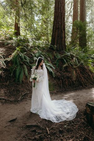 A bride in a flowing lace gown poses among towering redwood trees and ferns.