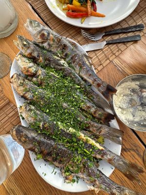 Grilled whole fish garnished with fresh herbs served on white plate.
