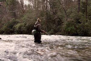 Figure wading through rushing river water surrounded by lush forest.