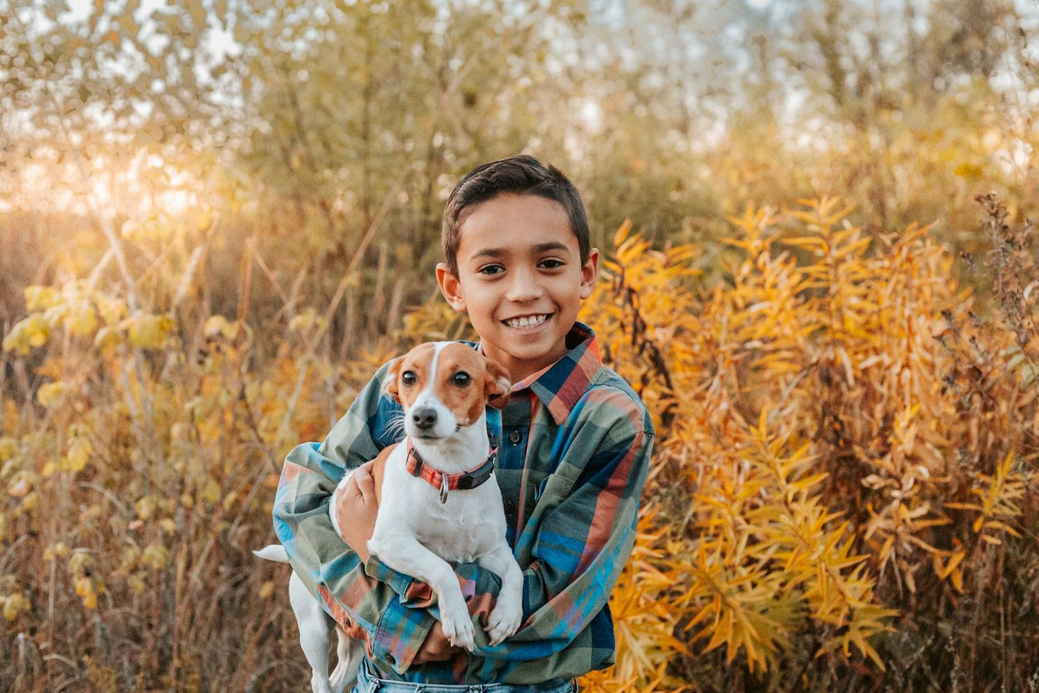 Smiling boy holding a Jack Russell Terrier dog outdoors in autumn field with golden yellow foliage at sunset.