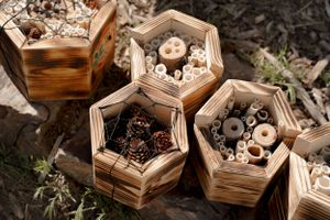 Handcrafted hexagonal wooden boxes filled with natural materials and crystals.