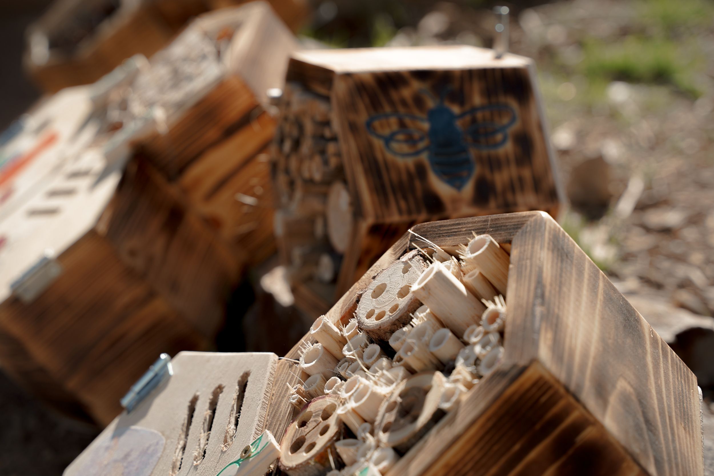 Close-up of wooden hexagonal display boxes with natural elements and decorative items.