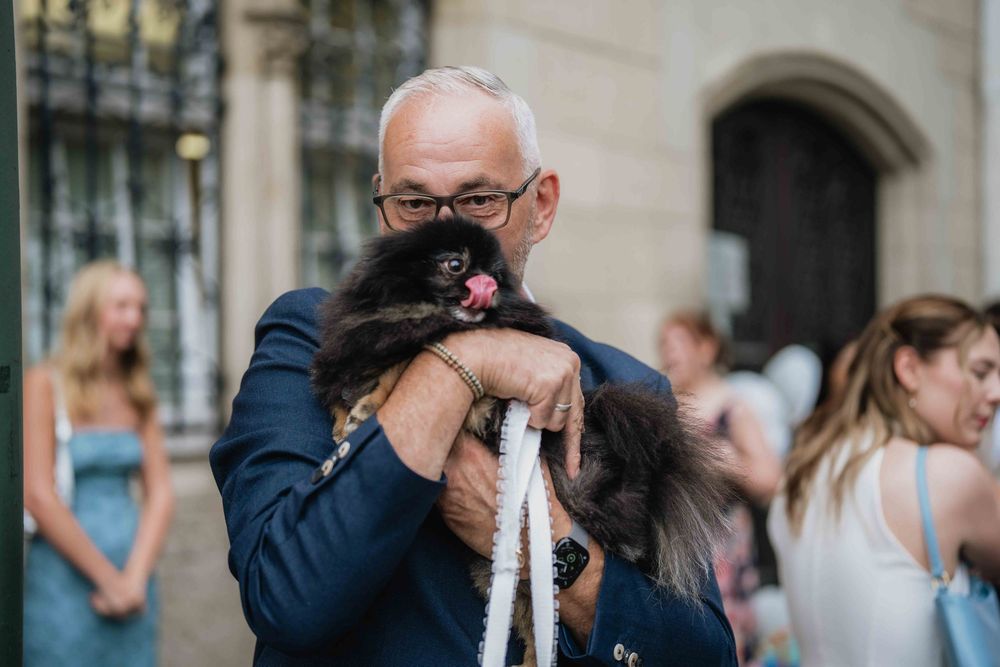 Guest in navy suit holds small black dog during wedding celebration.