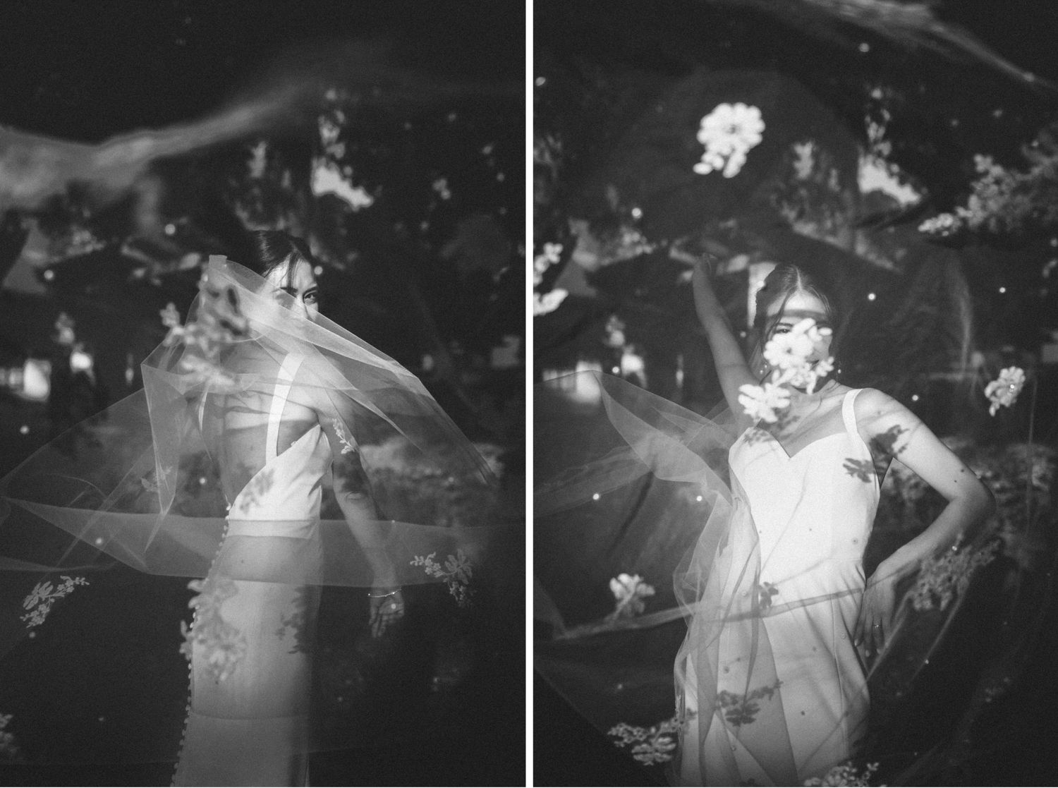 A black and white photo montage of concert performances shows multiple energetic stage moments and lighting effects at a live music venue.