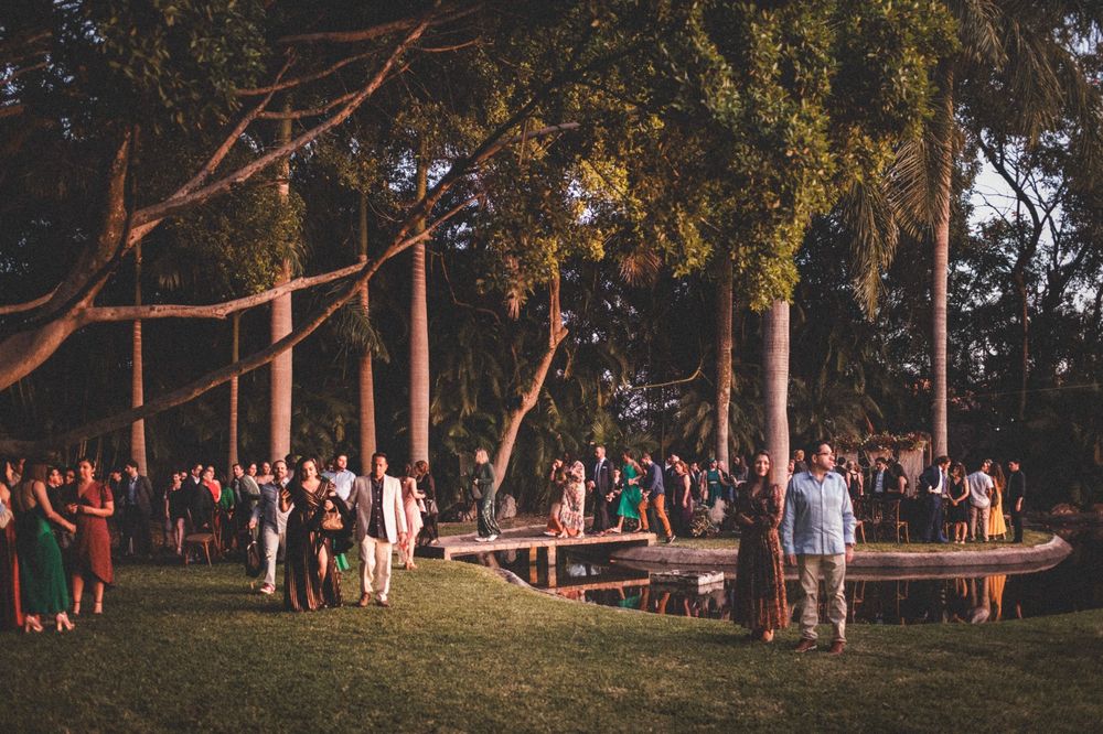 Large outdoor gathering of wedding guests mingling under tall trees at sunset during a casual outdoor reception celebration.