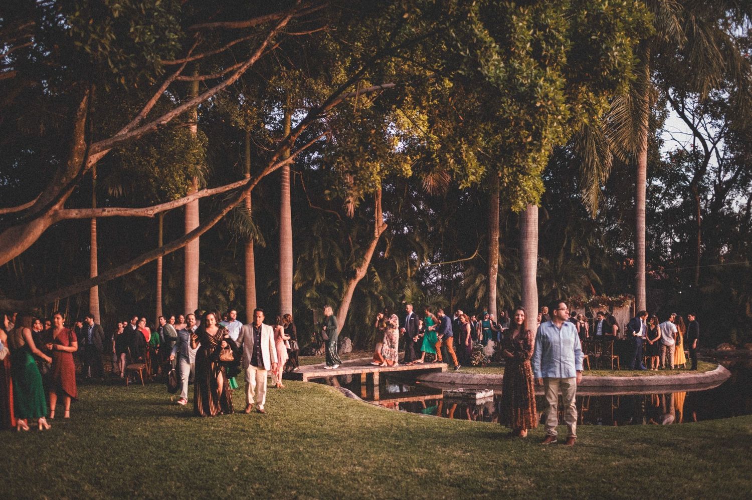 Large outdoor gathering of wedding guests mingling under tall trees at sunset during a casual outdoor reception celebration.