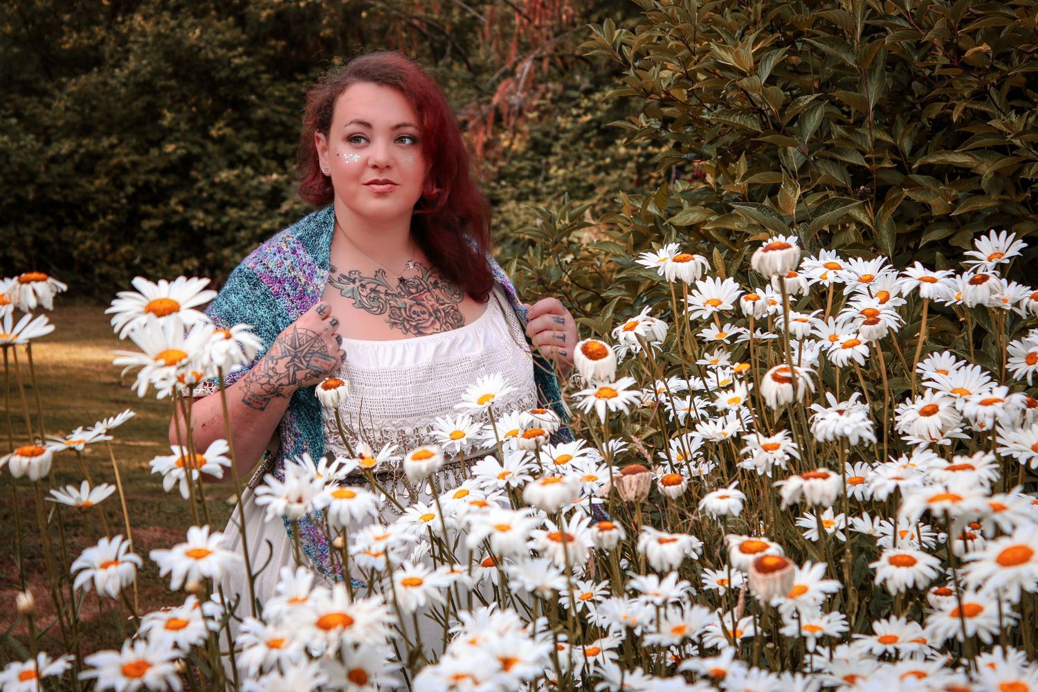 Someone poses in a field of blooming shasta daisies under sunlight in a garden setting.