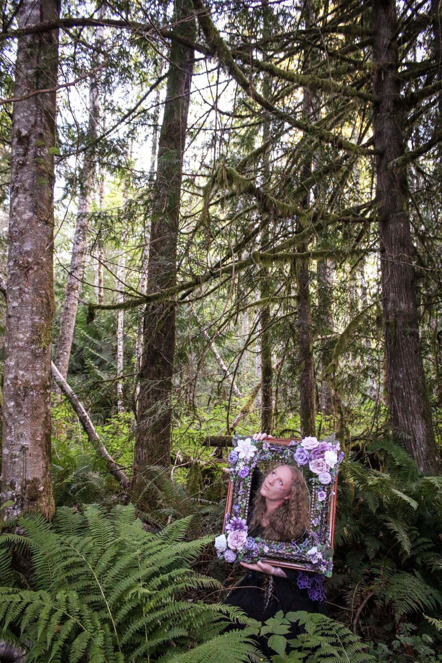 A decorative framed picture rests among lush green ferns in a mossy forest setting with tall evergreen trees.