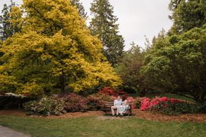 Beautiful autumn panorama showcasing colorful yellow maple trees and vibrant red bushes in a tranquil garden setting.