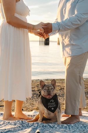 Feet and paws in the sand at a beach wedding with a dog wearing a cute black bandana at sunset.
