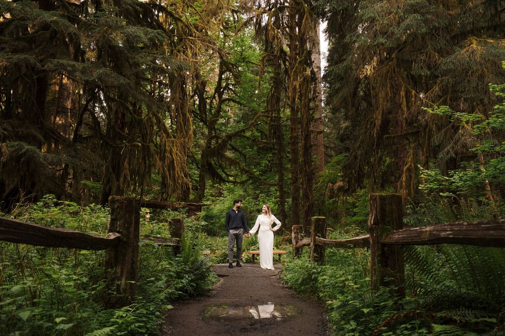 A figure in white walks along a scenic forest path surrounded by towering trees and lush greenery.