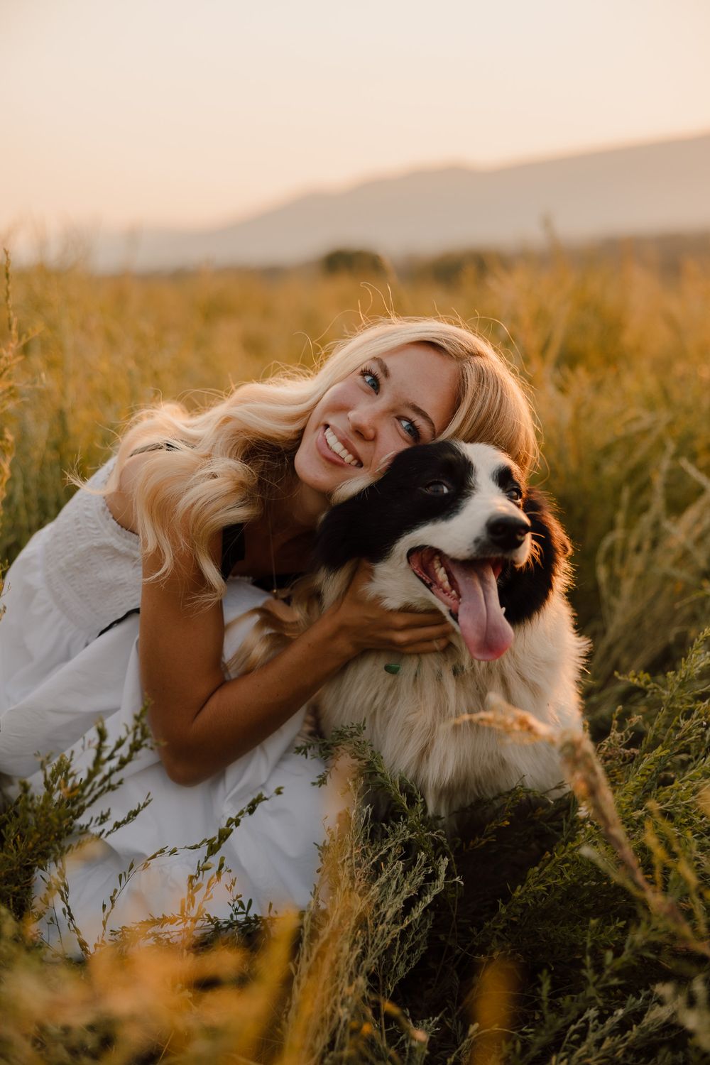 A person in a white dress cuddles with their Border Collie dog in a golden field during sunset.