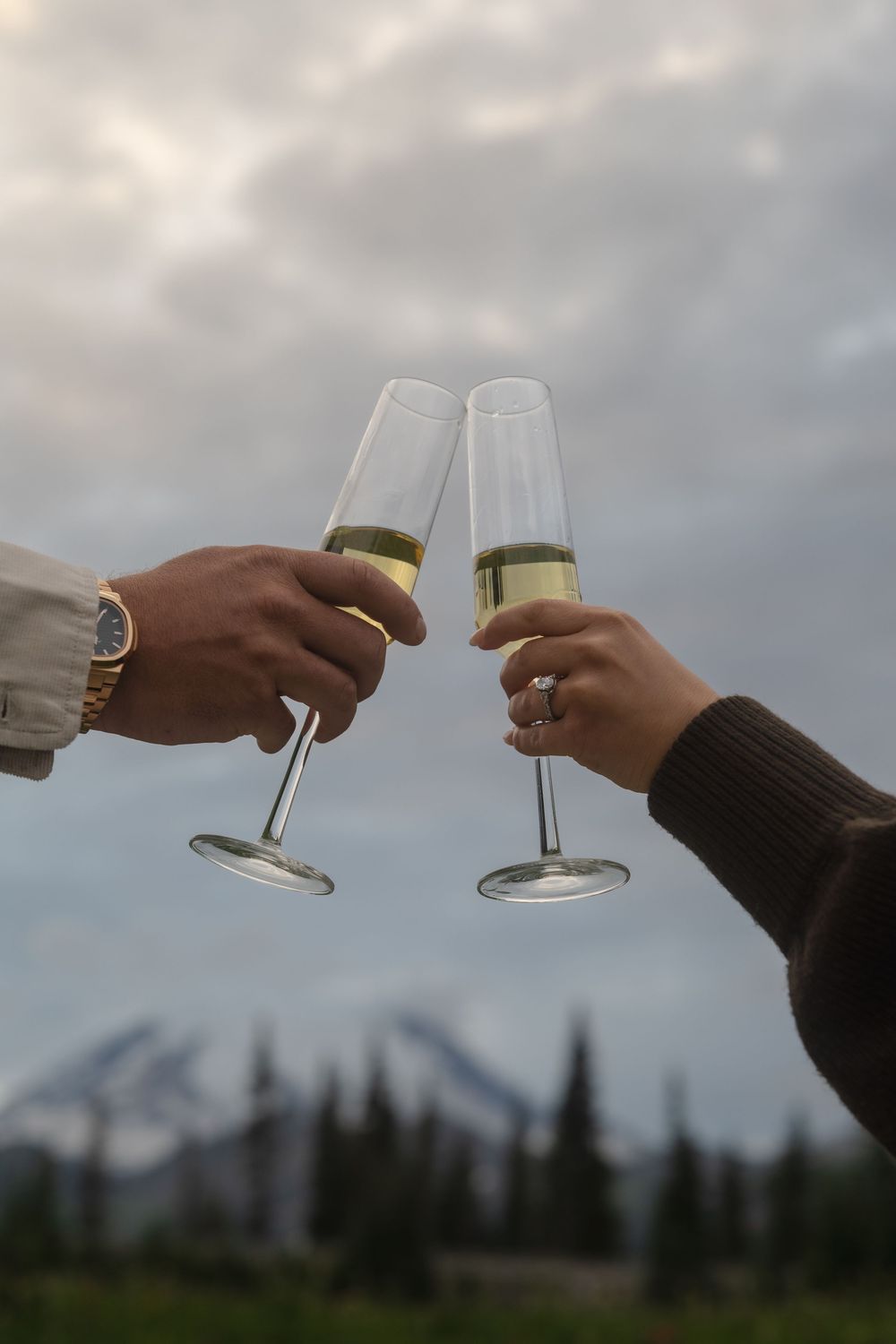 Hands raise champagne glasses for a toast against a scenic mountain landscape with evergreen trees.